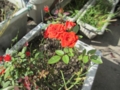 20120718080252