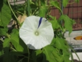20120718080303