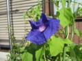 20120718080308