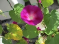 20120718080353