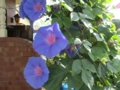 20120718080426