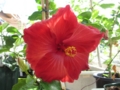 20120719082813