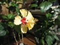 20120719082823