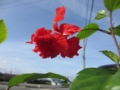 20120719082933