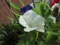 20120719083025
