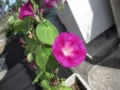 20120719083057