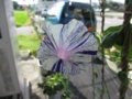 20120719083123