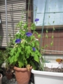 20120719101458