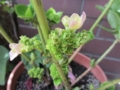 20120719101623