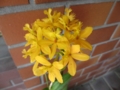 20120719101631