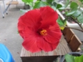 20120720080740