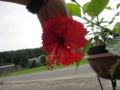 20120720080822