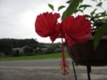 20120720080837