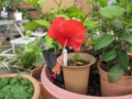 20120720080843