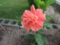 20120720080855