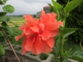 20120720080926