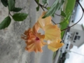 20120720080954