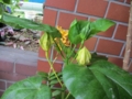 20120720082229