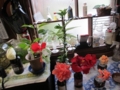 20120720085616