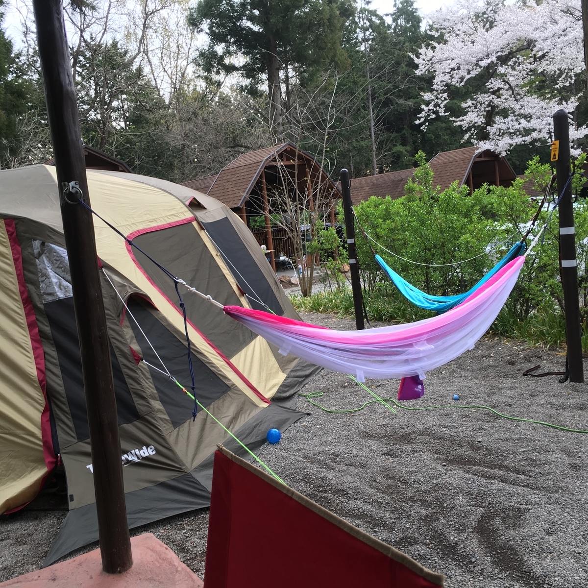 f:id:reo_camp:20190502155914j:plain