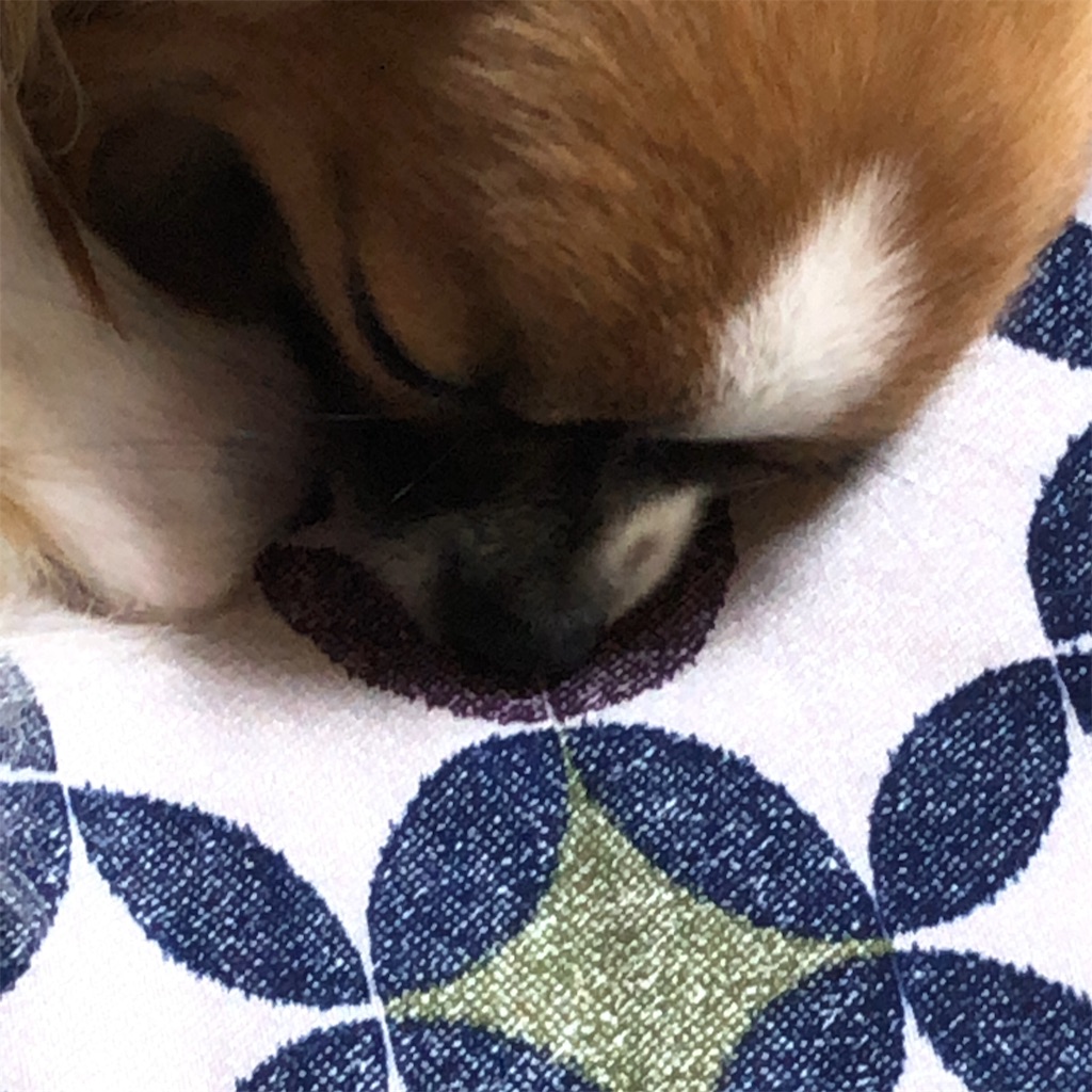 f:id:reoandmama:20190723144418j:image f:id:reoandmama:20190723144418j:image