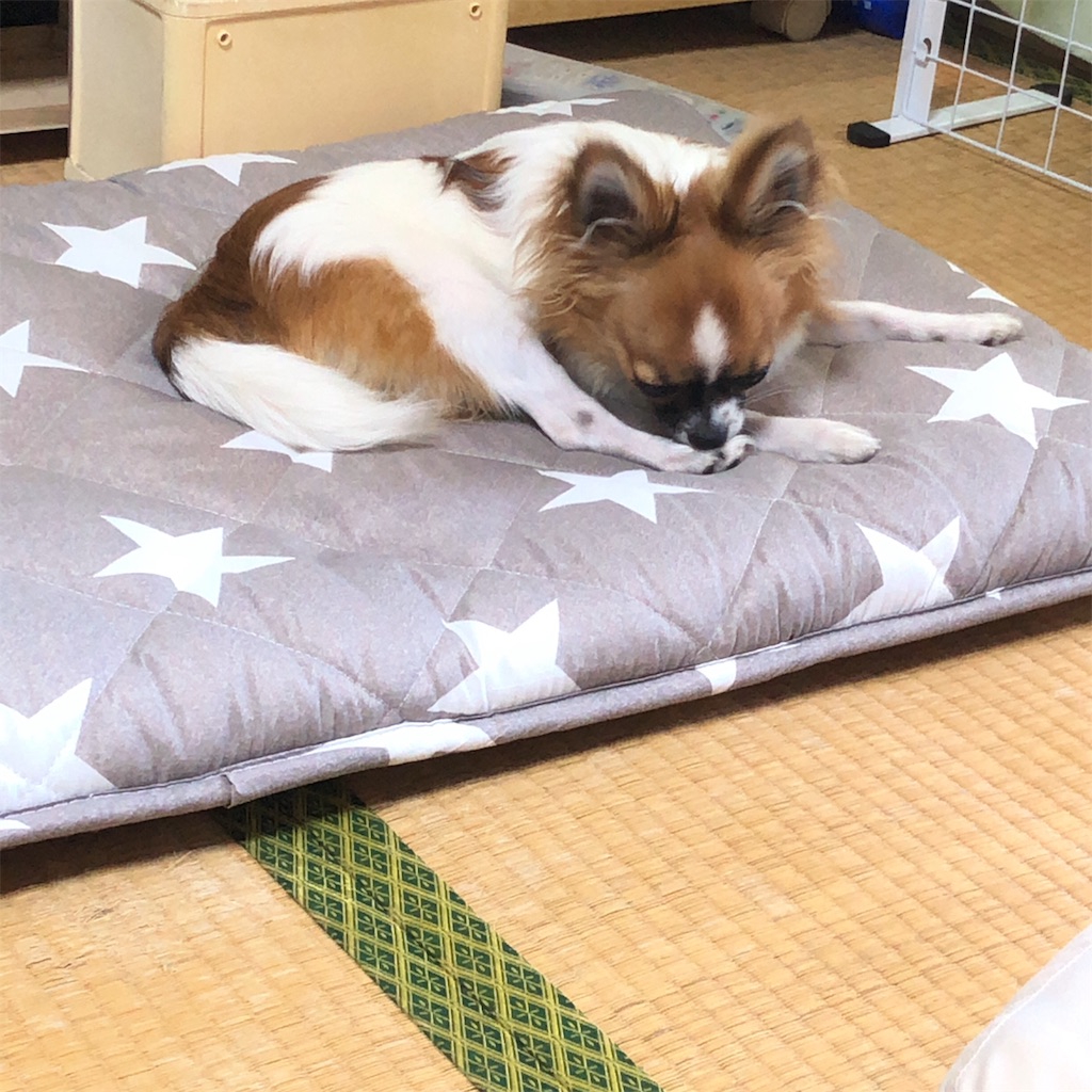 f:id:reoandmama:20190823215756j:image f:id:reoandmama:20190823215756j:image