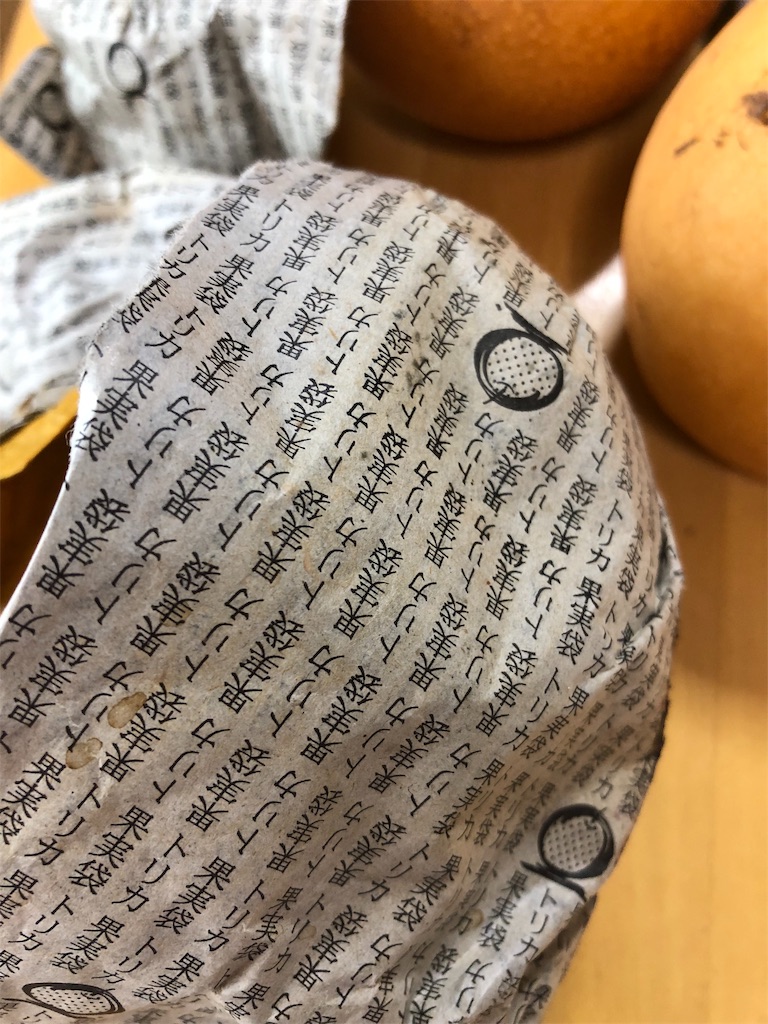 f:id:reoandmama:20191217161845j:image