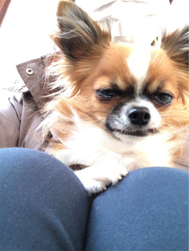 f:id:reoandmama:20191217162520j:image f:id:reoandmama:20191217162520j:image