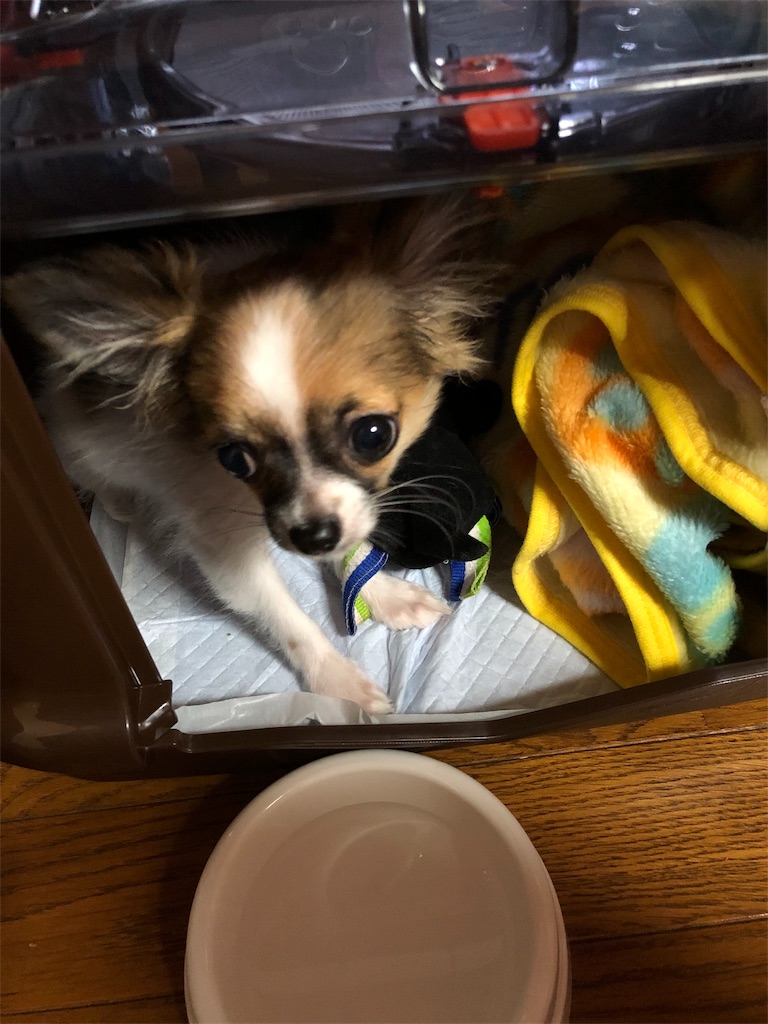 f:id:reoandmama:20191223093530j:image f:id:reoandmama:20191223093530j:image