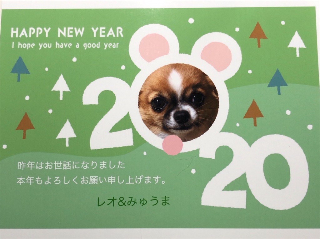 f:id:reoandmama:20191231063139j:image f:id:reoandmama:20191231063139j:image