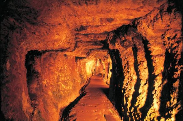 f:id:reon-kun:20250401074129j:image