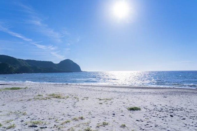 f:id:reon-kun:20250401075318j:image