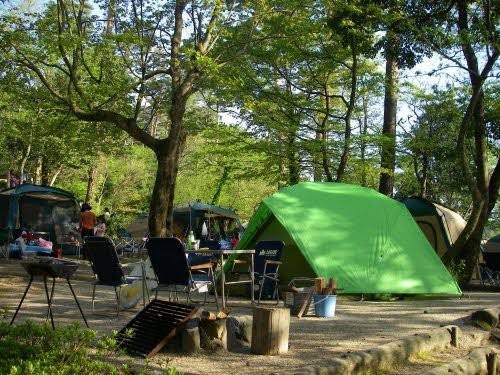 f:id:reon-kun:20250622110219j:image