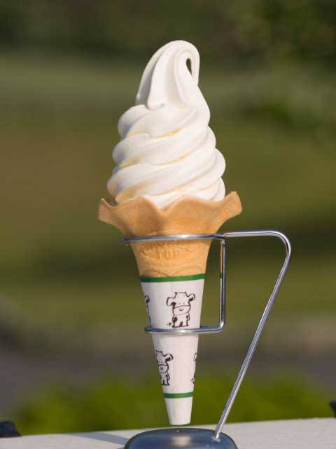 f:id:reon-kun:20250622110515j:image