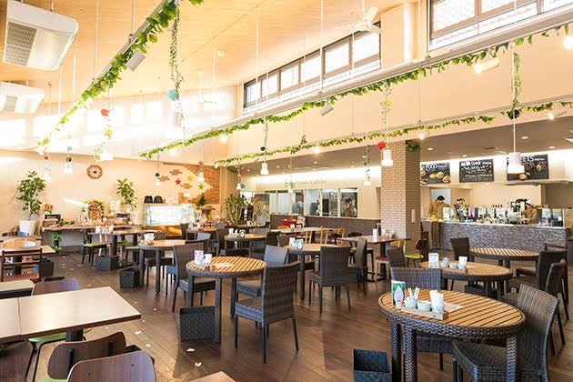 f:id:reon-kun:20250709062850j:image