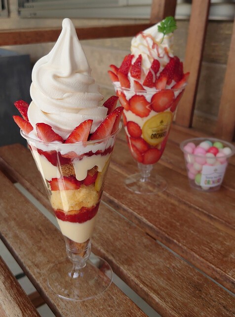 f:id:reon-kun:20250709064455j:image