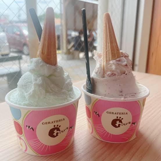 f:id:reon-kun:20250721024259j:image