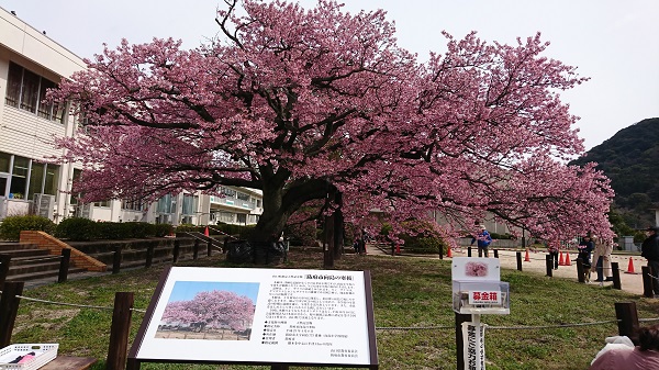 f:id:reonmanma:20190314111218j:plain f:id:reonmanma:20190314111218j:plain