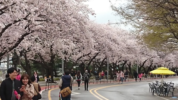f:id:reonmanma:20190410153018j:plain f:id:reonmanma:20190410153018j:plain