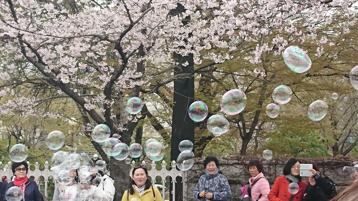 f:id:reonmanma:20190410154927j:plain f:id:reonmanma:20190410154927j:plain