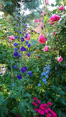 f:id:reonmanma:20190512174655j:plain f:id:reonmanma:20190512174655j:plain