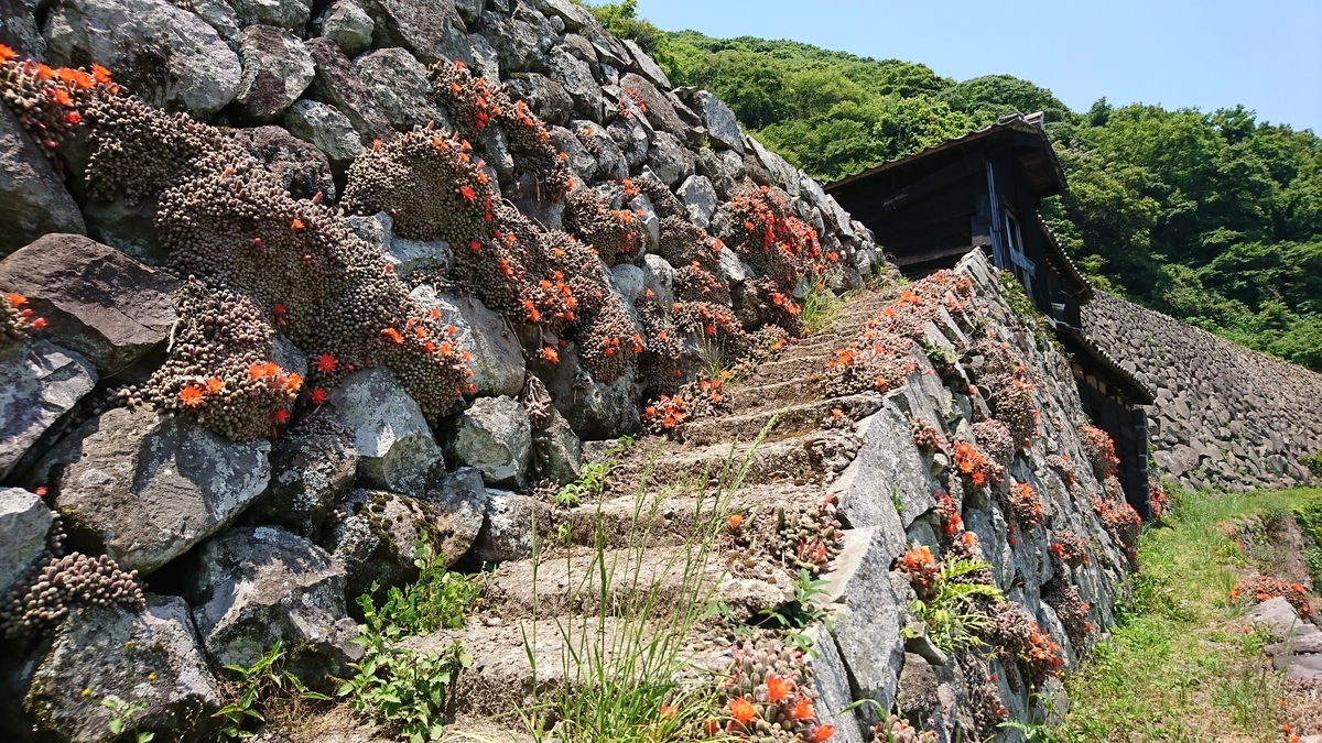 f:id:reonmanma:20190524125135j:plain f:id:reonmanma:20190524125135j:plain