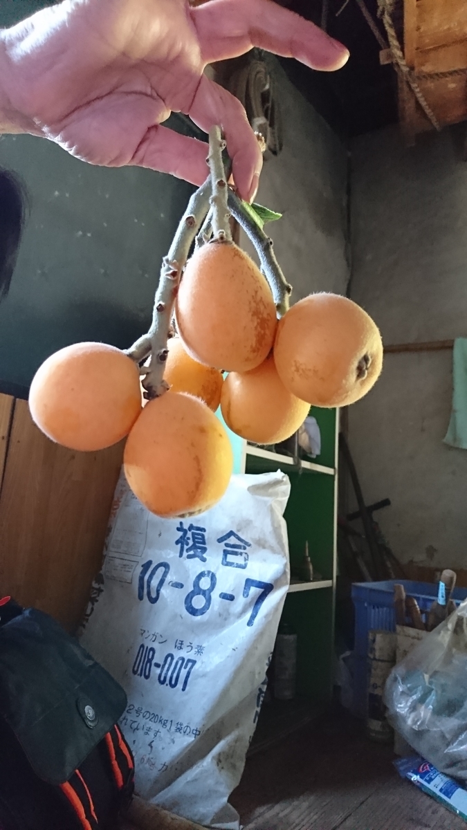f:id:reonmanma:20190524132241j:plain f:id:reonmanma:20190524132241j:plain