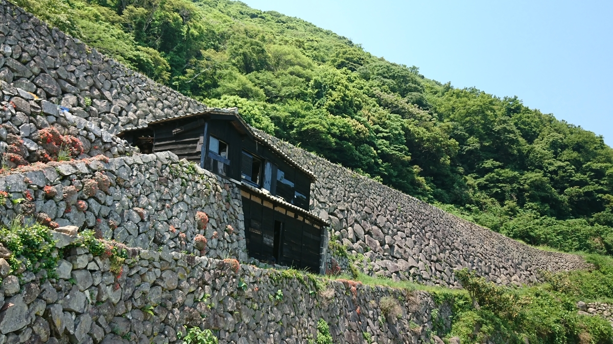 f:id:reonmanma:20190524134242j:plain f:id:reonmanma:20190524134242j:plain