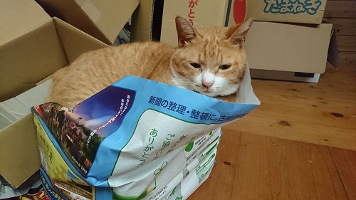 f:id:reonmanma:20190821153836j:plain f:id:reonmanma:20190821153836j:plain