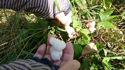 f:id:reonmanma:20190929075112j:plain f:id:reonmanma:20190929075112j:plain