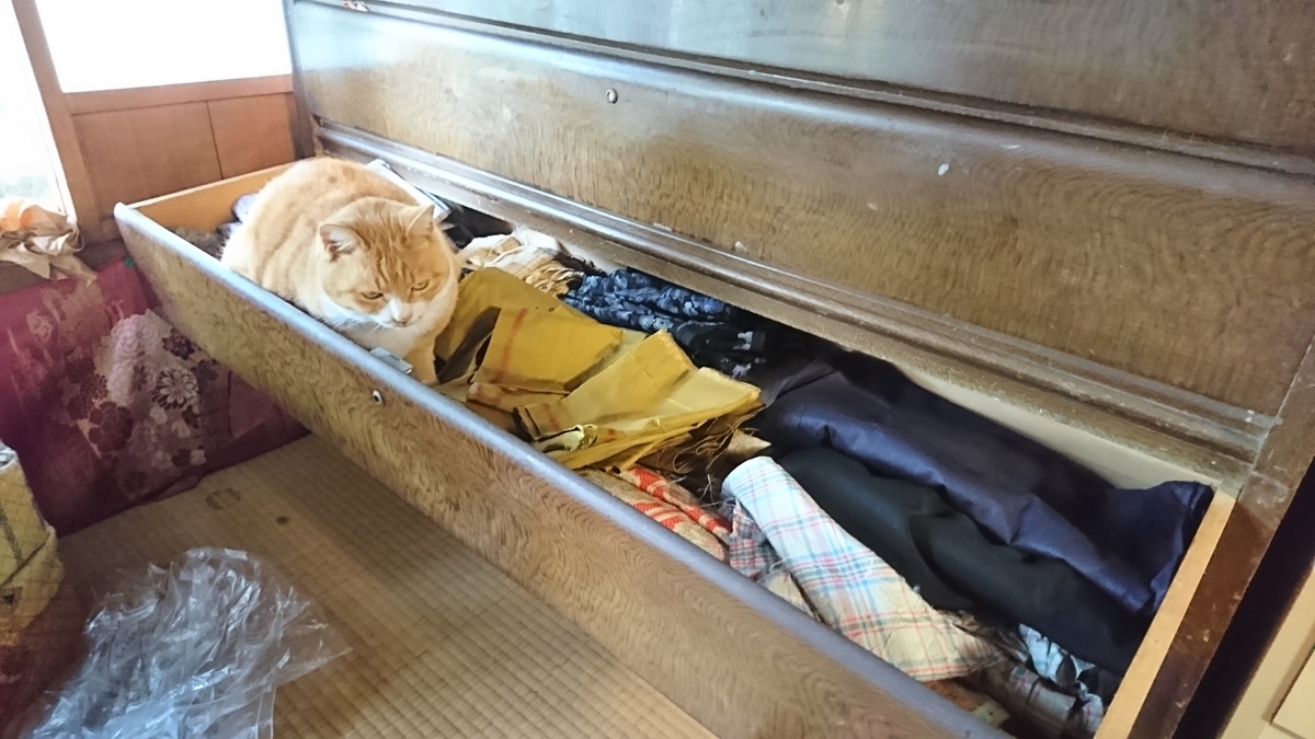f:id:reonmanma:20191120152706j:plain f:id:reonmanma:20191120152706j:plain