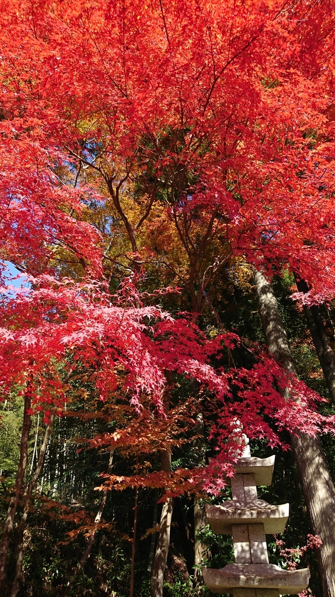 f:id:reonmanma:20191123113156j:plain f:id:reonmanma:20191123113156j:plain