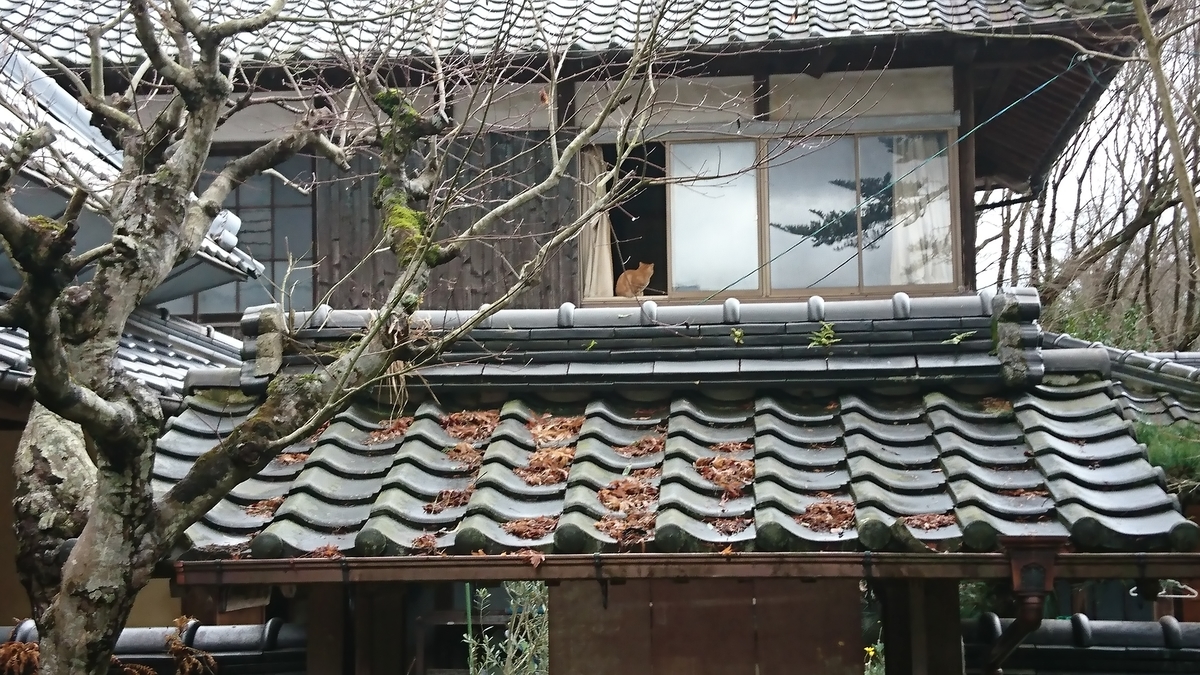 f:id:reonmanma:20200127143654j:plain f:id:reonmanma:20200127143654j:plain
