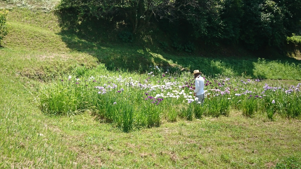f:id:reonmanma:20200608111806j:plain f:id:reonmanma:20200608111806j:plain